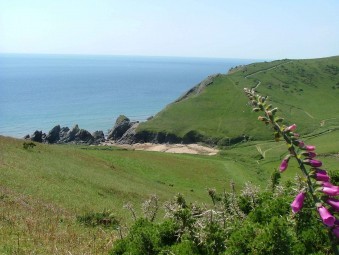 Soar Mill Cove Hotel